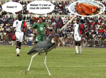 ha ha ha ....................................